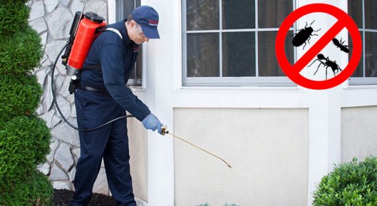 Boğazlıyan Akrep İlaçlama böcek ilaçlama ve haşere kontrolü — ilaclama-tr.com